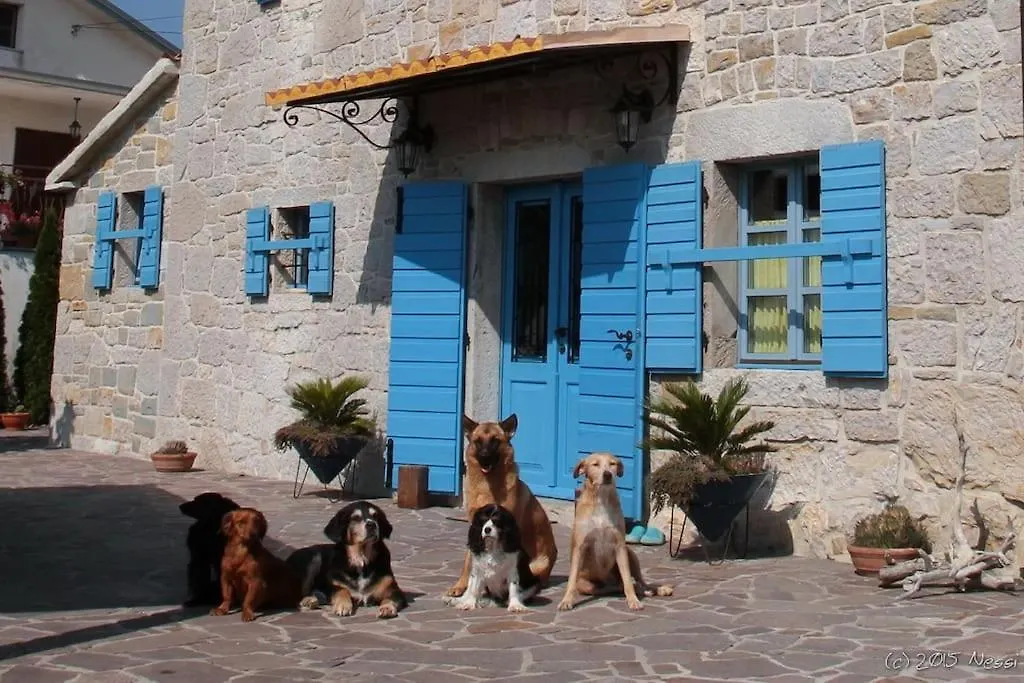 Villa Viera Buzet Croatia